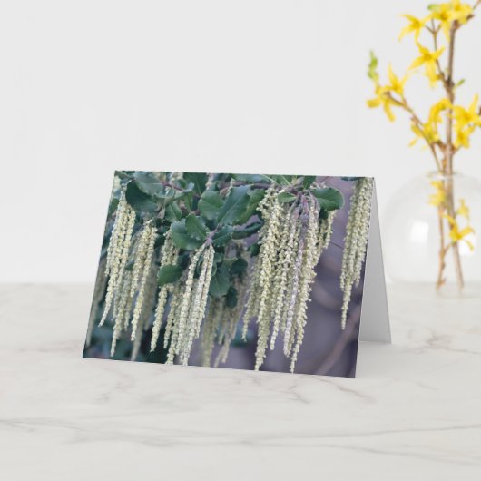 CARTE DSC_0119 (Fleur jaune)