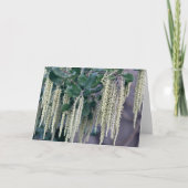 CARTE DSC_0119 (Devant)