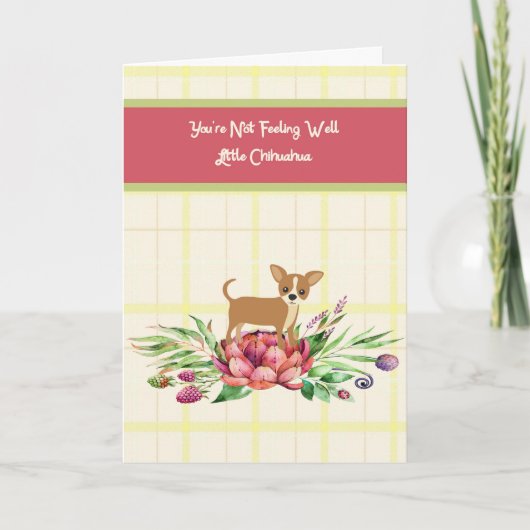 Carte du bien pour Chihuahua (Devant)