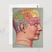 Carte du cerveau antique Chef de pharmacologie (Devant / Derrière)