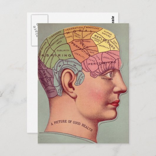 Carte du cerveau antique Chef de pharmacologie (Devant / Derrière)