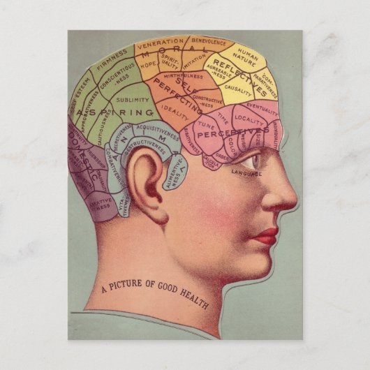 Carte du cerveau antique Chef de pharmacologie (Devant)