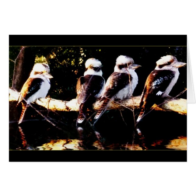 Carte du chœur d'oiseaux Kookaburra (Devant horizontal)