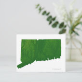 Carte du Connecticut 2 (Debout devant)