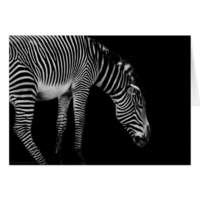 Carte du corps (Devant Horizontal)