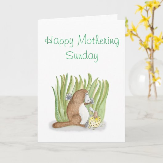 Carte du dimanche Platypus et ovocytes (Fleur jaune)