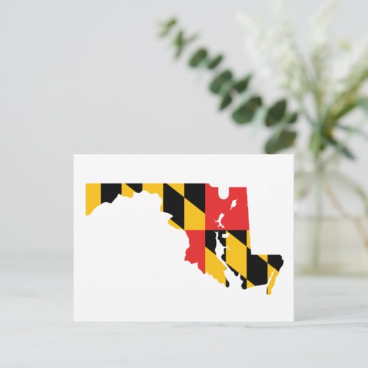 Carte du drapeau du Maryland (Debout devant)