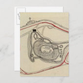 Carte du Golden Gate Park (Devant / Derrière)