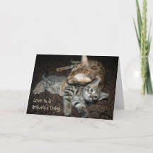 Carte du jour de mère avec le chat