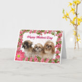 Carte du jour de mère - chiens de Shih Tzu - (Fleur jaune)