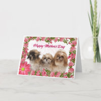 Carte du jour de mère - chiens de Shih Tzu -