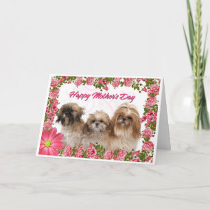Carte du jour de mère - chiens de Shih Tzu -