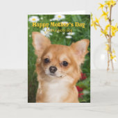 Carte du jour de mère de chiwawa (Fleur jaune)