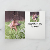 Carte du jour de mère de Malinois de Belge (Intérieur)