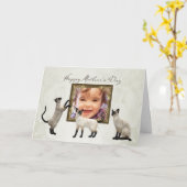 Carte du jour de mère de photo avec les chats (Fleur jaune)