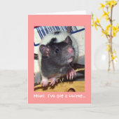 Carte du jour de mère de rat d'animal familier de (Fleur jaune)