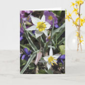 Carte du jour de mère de tulipe d'espèces (Fleur jaune)