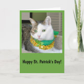 Carte du jour de St Patrick de chat (Devant)