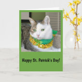 Carte du jour de St Patrick de chat (Fleur jaune)