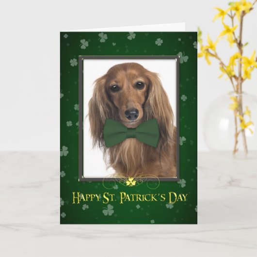 Carte du jour de St Patrick de teckel (Fleur jaune)