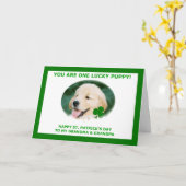 Carte du jour de St Patrick pour des (Fleur jaune)