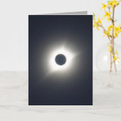 Carte du Jour du Saint-Père (Fleur jaune)