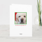 Carte du Labrador de Noël, chien en tricot casquet (Dos)