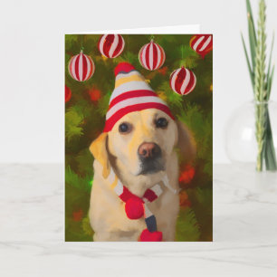 Carte du Labrador de Noël, chien en tricot casquet