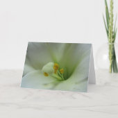 Carte du lis 1 (Devant)