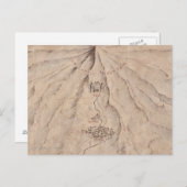 Carte du mont Lonley (Devant / Derrière)