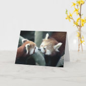 Carte du panda rouge #2-Greeting (Fleur jaune)
