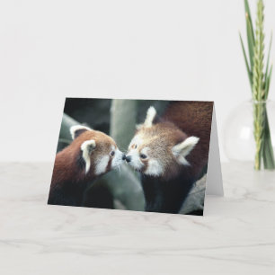 Carte du panda rouge #2-Greeting