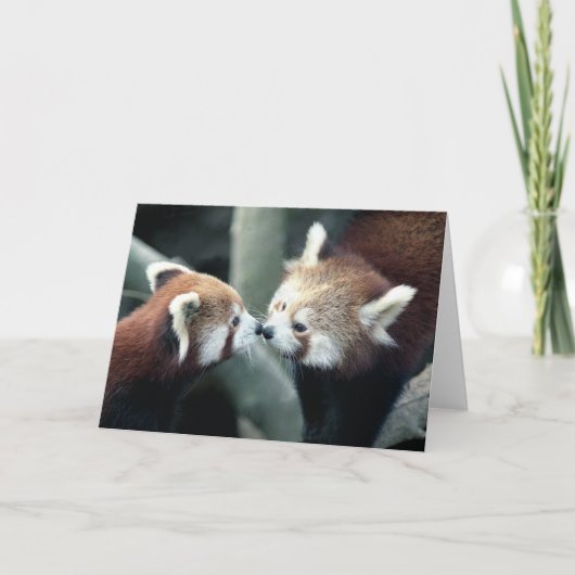 Carte du panda rouge #2-Greeting (Devant)