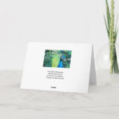 Carte du paon #3-Greeting (Dos)