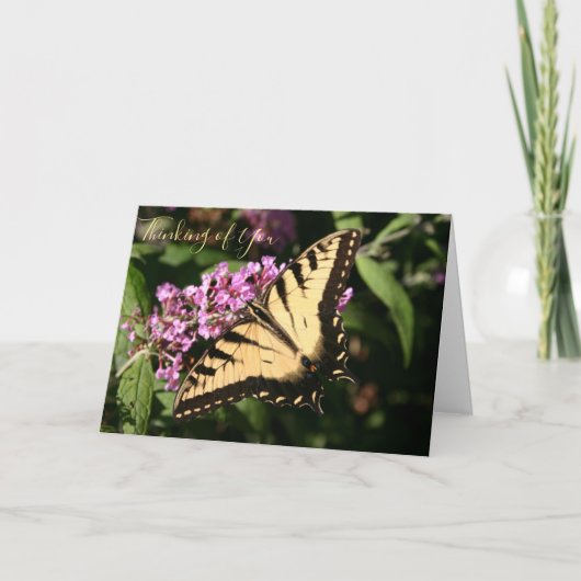 Carte du papillon Swallowtail noir (Devant)