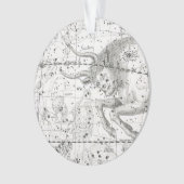 Carte du plat XIV de constellations (devant)