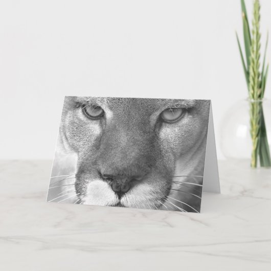 Carte du puma #1-Greeting (Devant)