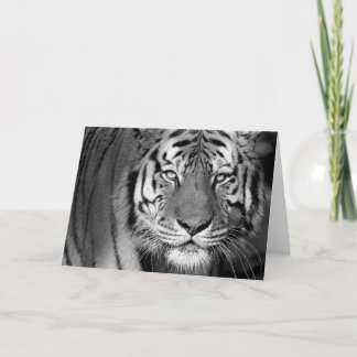 Carte du tigre #1-Greeting d'Amur