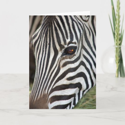 Carte du zèbre de Chapman (Devant)