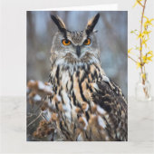 Carte Duc Vigilant (Fleur jaune)