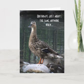 Carte Duck Birthday Card (Devant)