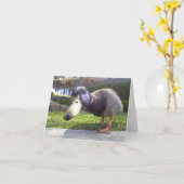 Carte "Duck Encounter" (Fleur jaune)