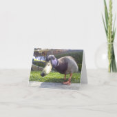 Carte "Duck Encounter" (Devant)