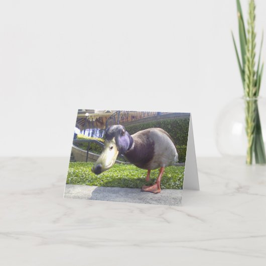 Carte "Duck Encounter" (Devant)