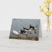 Carte Ducks (Fleur jaune)