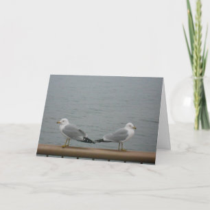 Carte "Duluth Seagulls"