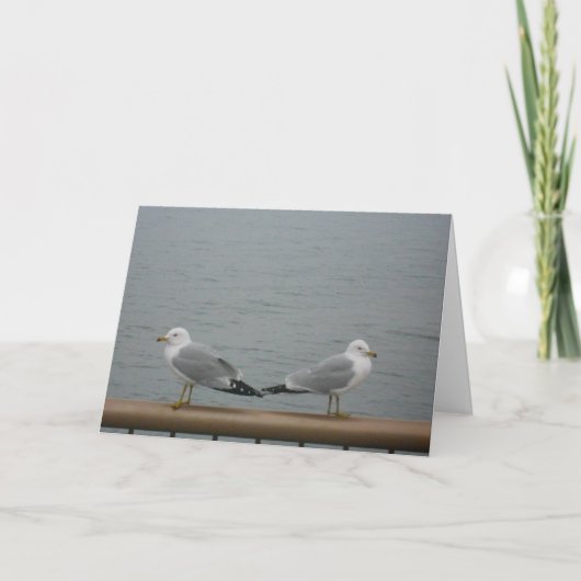 Carte "Duluth Seagulls" (Devant)