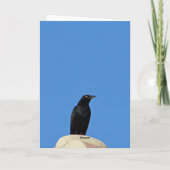 CARTE D'UNE VIEILLE CROIX À UNE AUTRE (Dos)