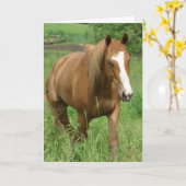 Carte Dunnit, Anniversaire du cheval (Fleur jaune)