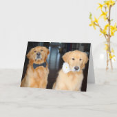 Carte Duo habillé (Fleur jaune)